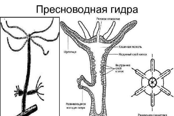 Маркетплейс кракен